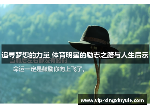 追寻梦想的力量 体育明星的励志之路与人生启示